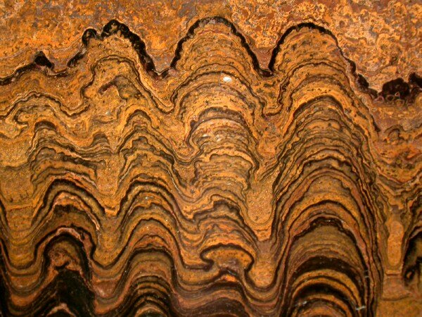 stromatolite-thin-section